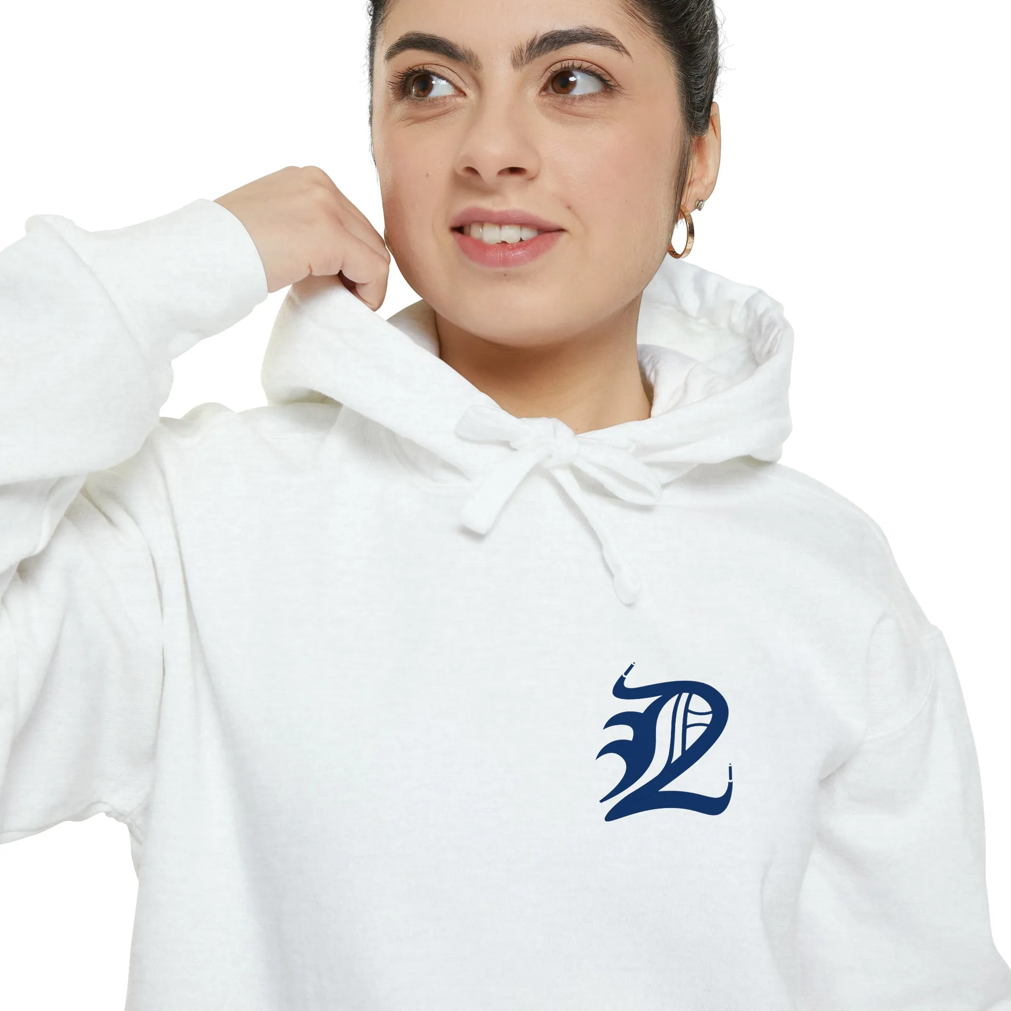 Detroit Mascots Hoodie Blue