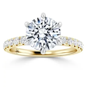 Phoebe - 18ct Yellow Gold - Round